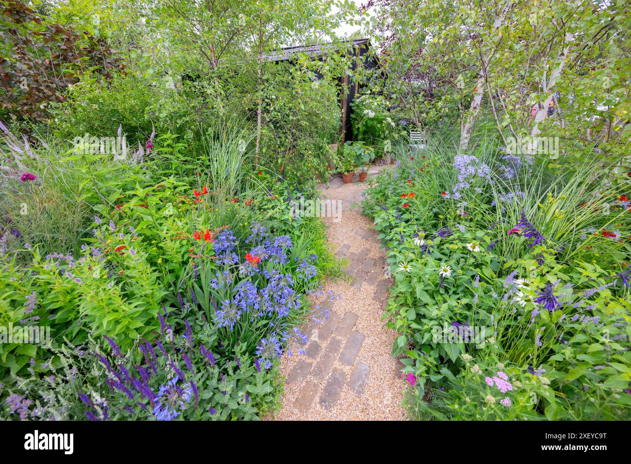 Richmond upon Thames, London, Großbritannien. Das RHS Hampton Court Palace Garden Festival, die größte Blumenausstellung der Welt, wird am 2-7. Juli 2024 eröffnet. Die abschließenden Vorbereitungen für die Aussteller finden am Aufbautag statt. Zu den Höhepunkten gehören: Feature Garden: RHS The Money Saving Garden. Quelle: Malcolm Park/Alamy Live News Stockfoto