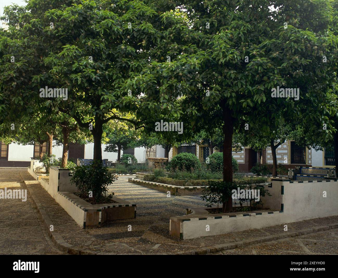 BARRIO SANTA CRUZ - PLAZA DE DONA ELVIRA. Lage: AUSSEN. Sevilla. Sevilla. SPANIEN. Stockfoto