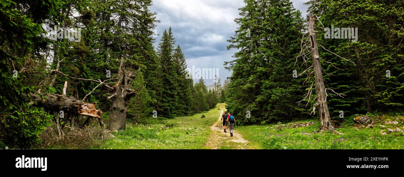 Wandern durch das Vercors-Plateau, Drôme, Frankreich Stockfoto