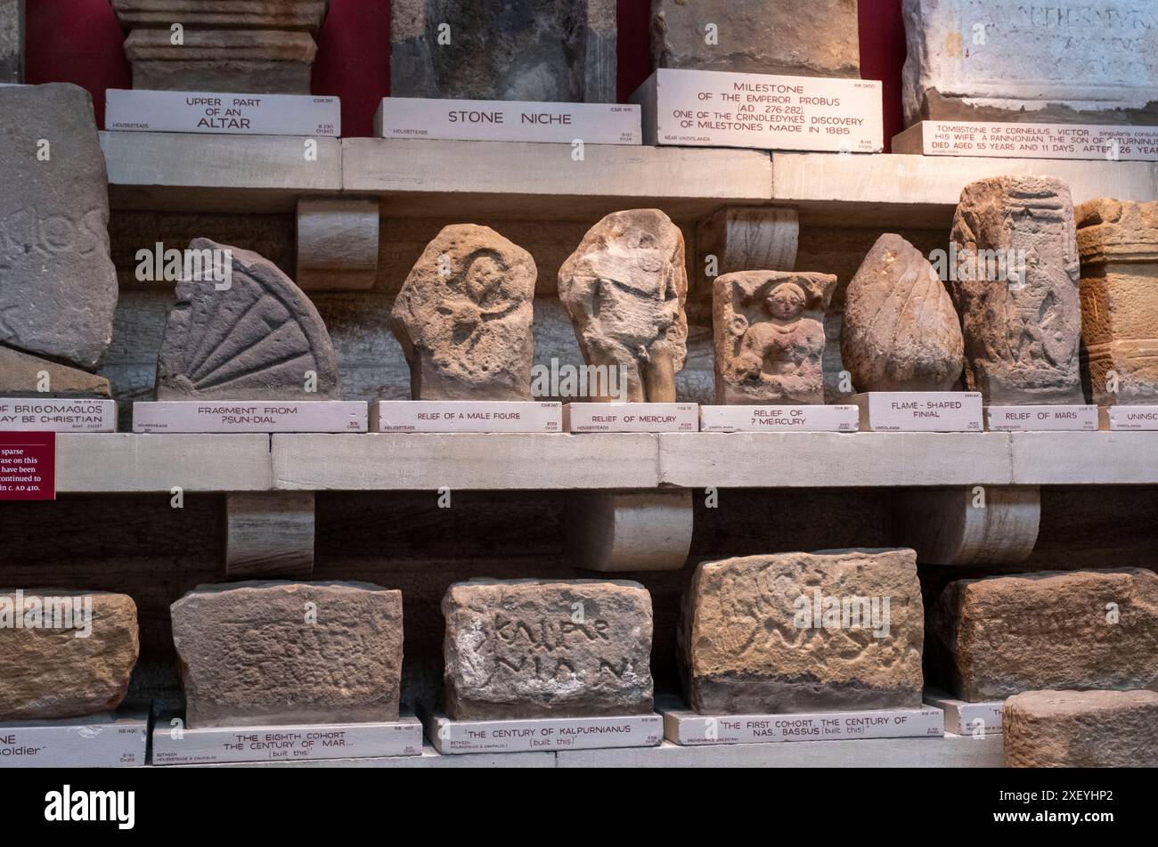 Artefakte im Museum im römischen Fort Chesters (Cilurnum). Chollerford, Hexham, Northumberland, England. Stockfoto