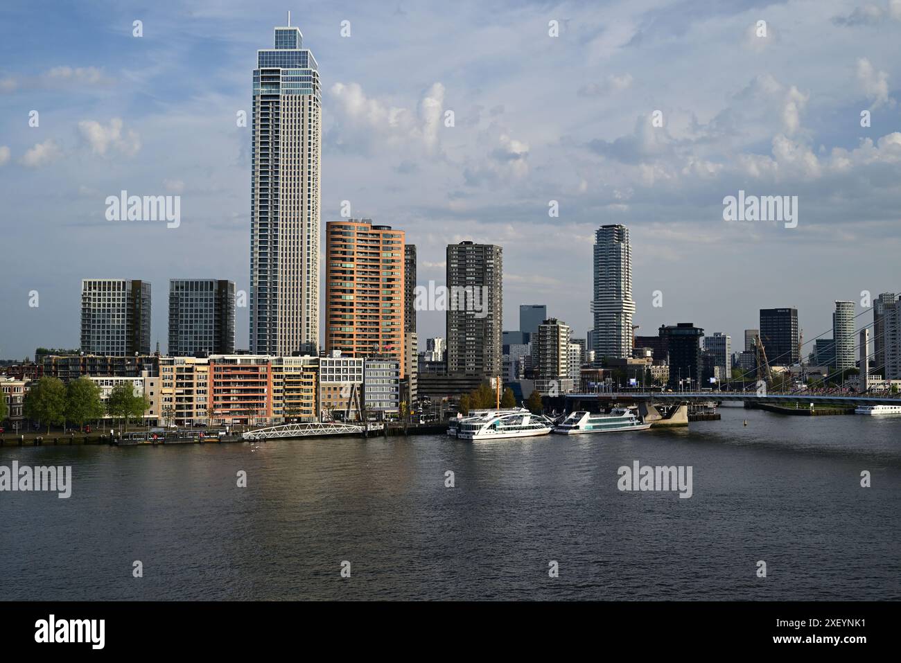 Die neue Maas im Zentrum von Rotterdam, Niederlande. Stockfoto