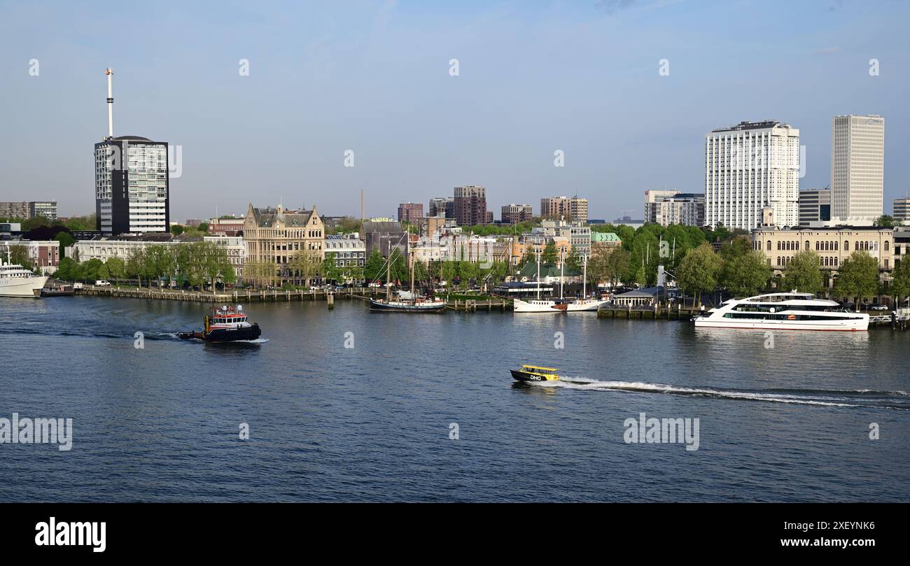 Die neue Maas im Zentrum von Rotterdam, Niederlande. Stockfoto