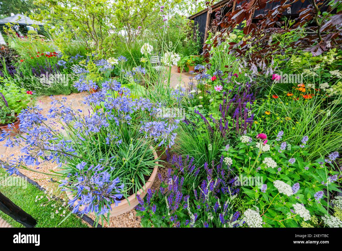 London, Großbritannien. 30. Juni 2024. RHS Money-Saving Garden, entworfen von Anya Lautenbach und Jamie Butterworth - das 2024 RHS Hampton Court Palace Garden Festival. Guy Bell/Alamy Live News Stockfoto