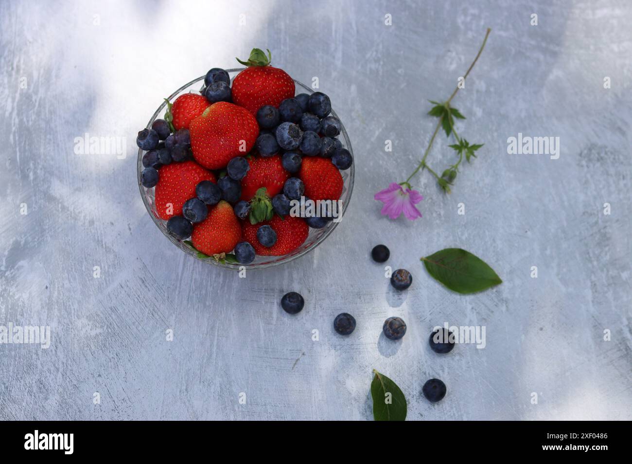 Erdbeeren und Heidelbeeren in einer Glasschale auf grauem Hintergrund mit Platz für Text. Fresh-Konzept. Stockfoto