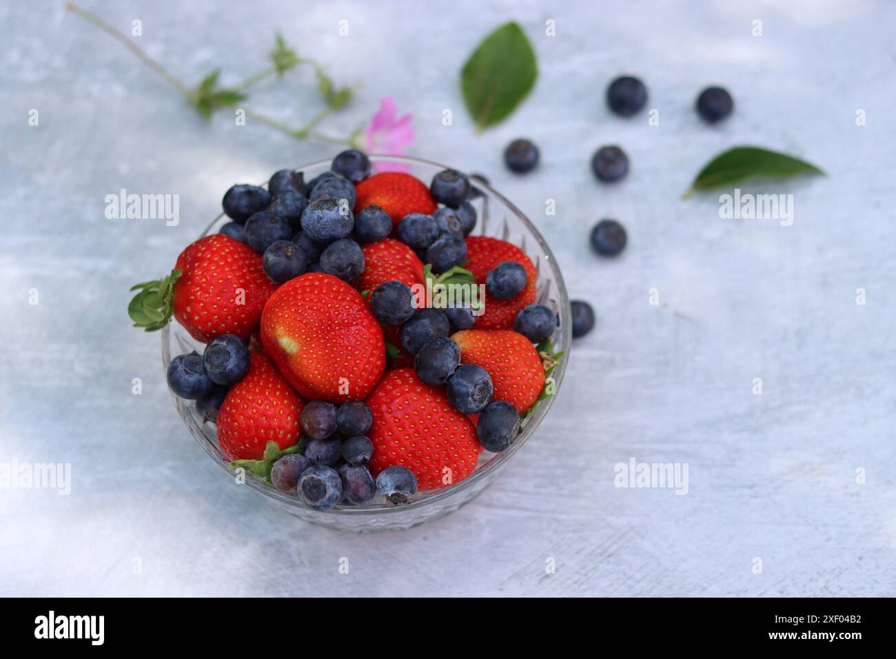Erdbeeren und Heidelbeeren in einer Glasschale auf grauem Hintergrund mit Platz für Text. Fresh-Konzept. Stockfoto