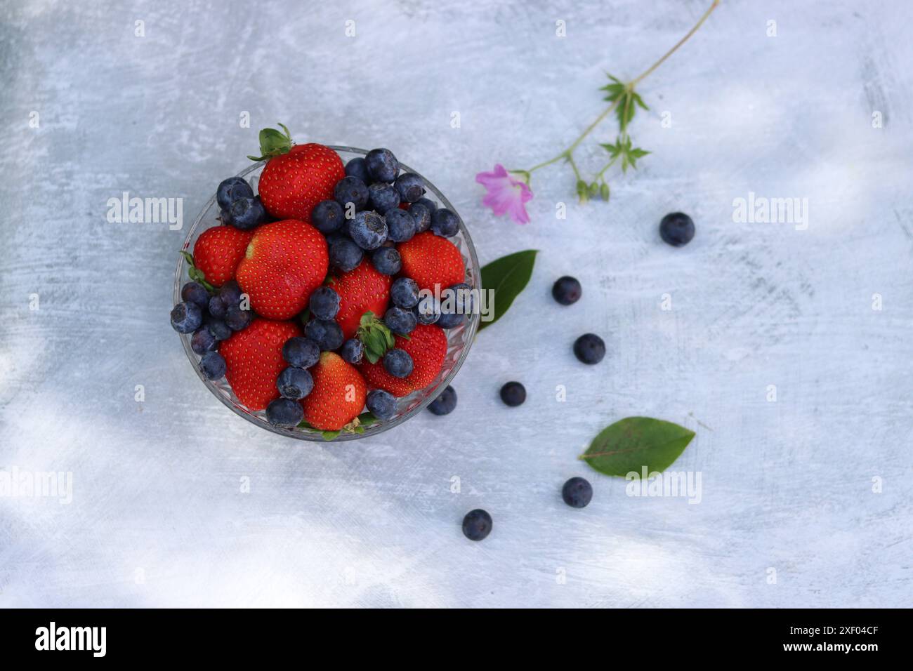 Erdbeeren und Heidelbeeren in einer Glasschale auf grauem Hintergrund mit Platz für Text. Fresh-Konzept. Stockfoto