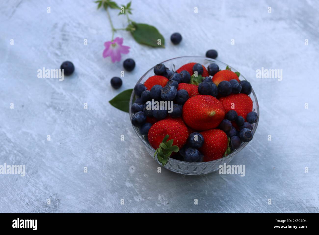Erdbeeren und Heidelbeeren in einer Glasschale auf grauem Hintergrund mit Platz für Text. Fresh-Konzept. Stockfoto