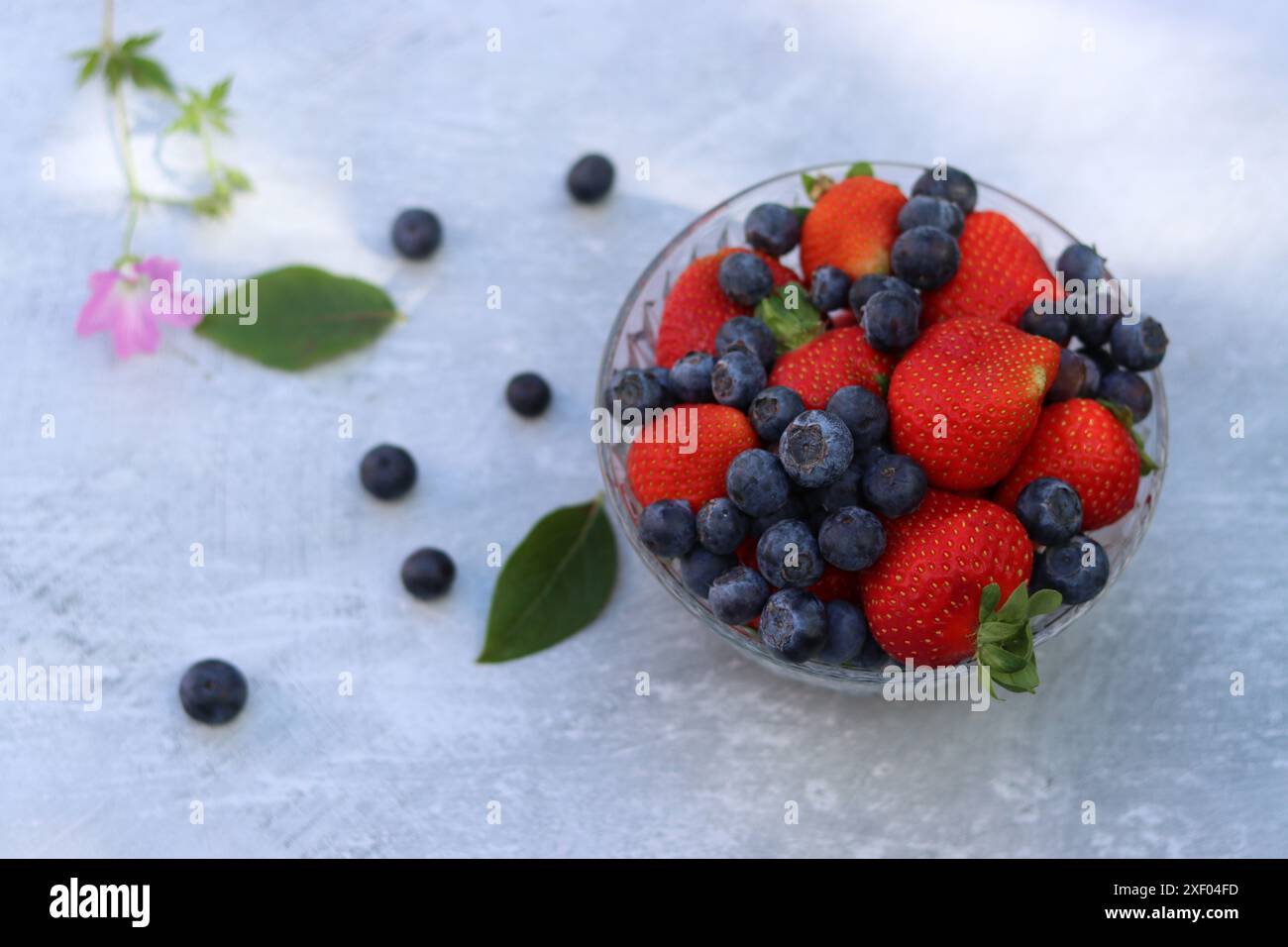 Erdbeeren und Heidelbeeren in einer Glasschale auf grauem Hintergrund mit Platz für Text. Fresh-Konzept. Stockfoto