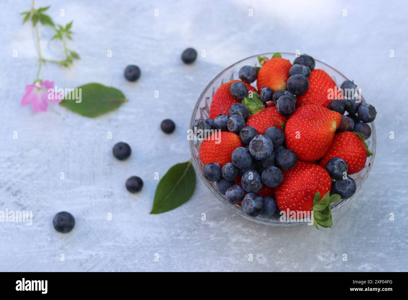 Erdbeeren und Heidelbeeren in einer Glasschale auf grauem Hintergrund mit Platz für Text. Fresh-Konzept. Stockfoto