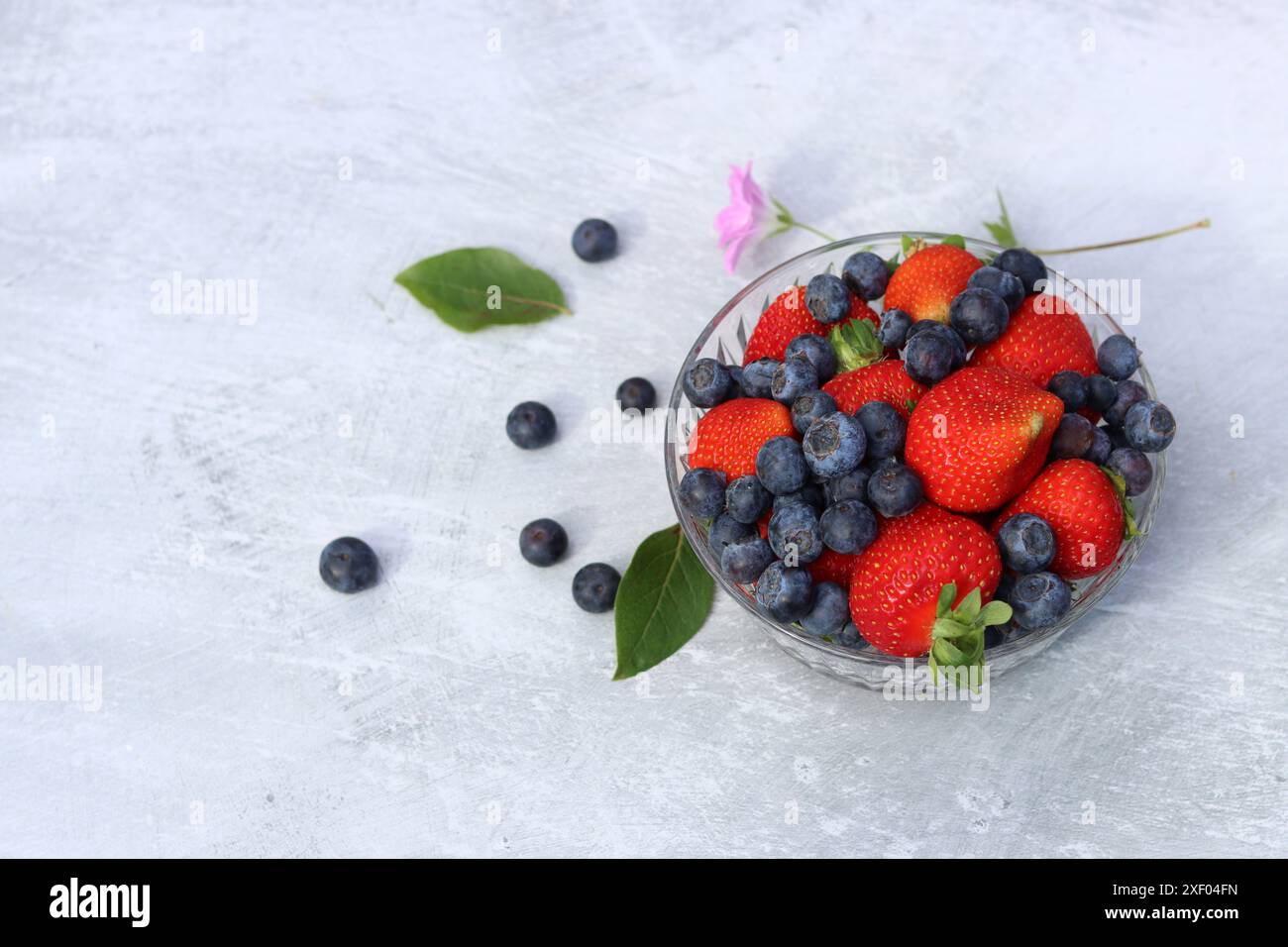Erdbeeren und Heidelbeeren in einer Glasschale auf grauem Hintergrund mit Platz für Text. Fresh-Konzept. Stockfoto