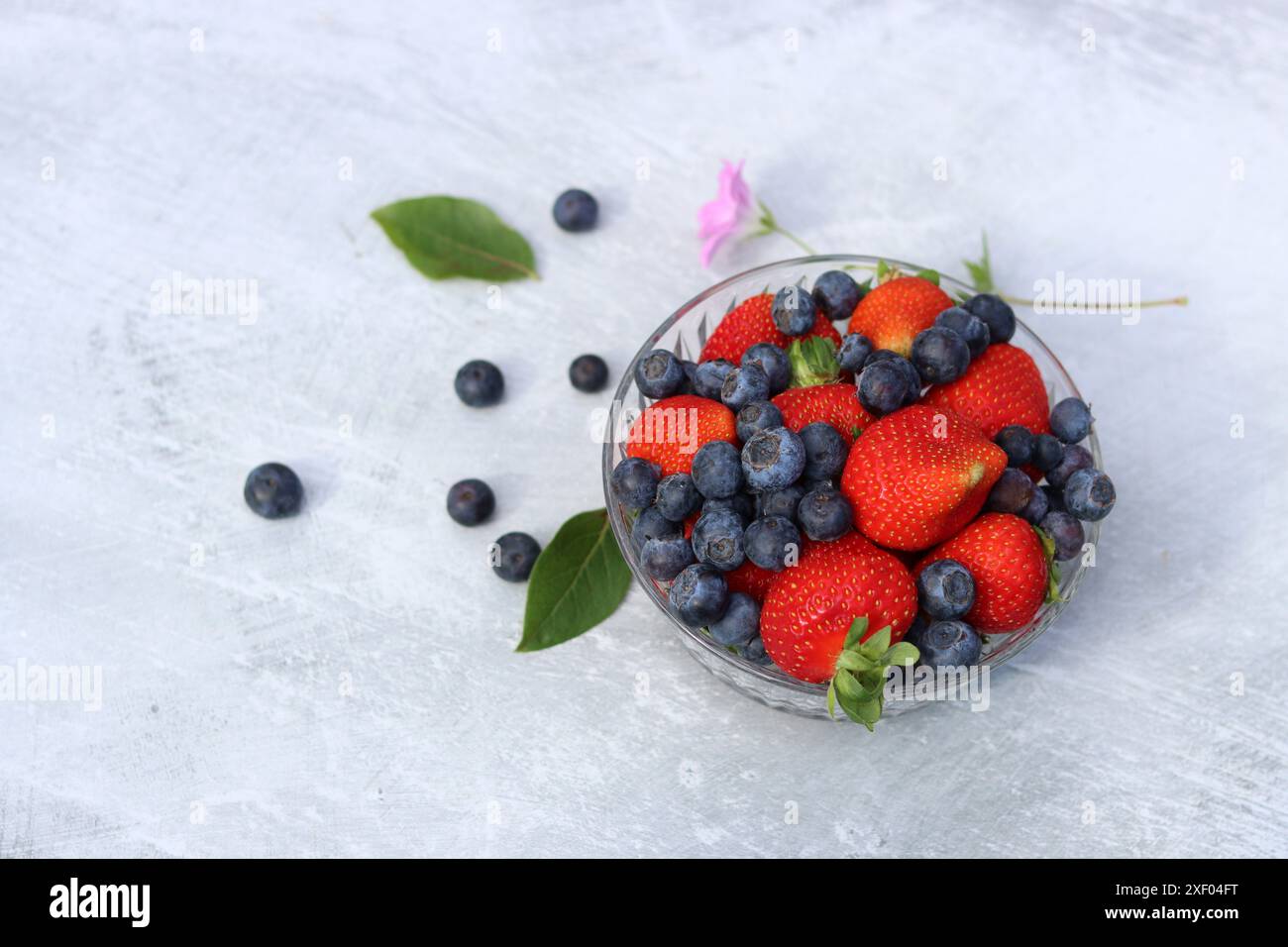 Erdbeeren und Heidelbeeren in einer Glasschale auf grauem Hintergrund mit Platz für Text. Fresh-Konzept. Stockfoto