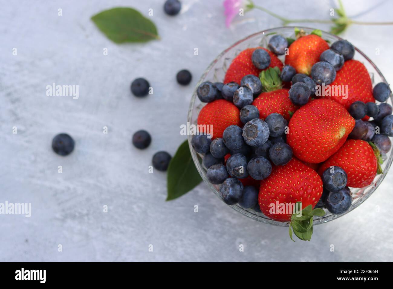 Erdbeeren und Heidelbeeren in einer Glasschale auf grauem Hintergrund mit Platz für Text. Fresh-Konzept. Stockfoto