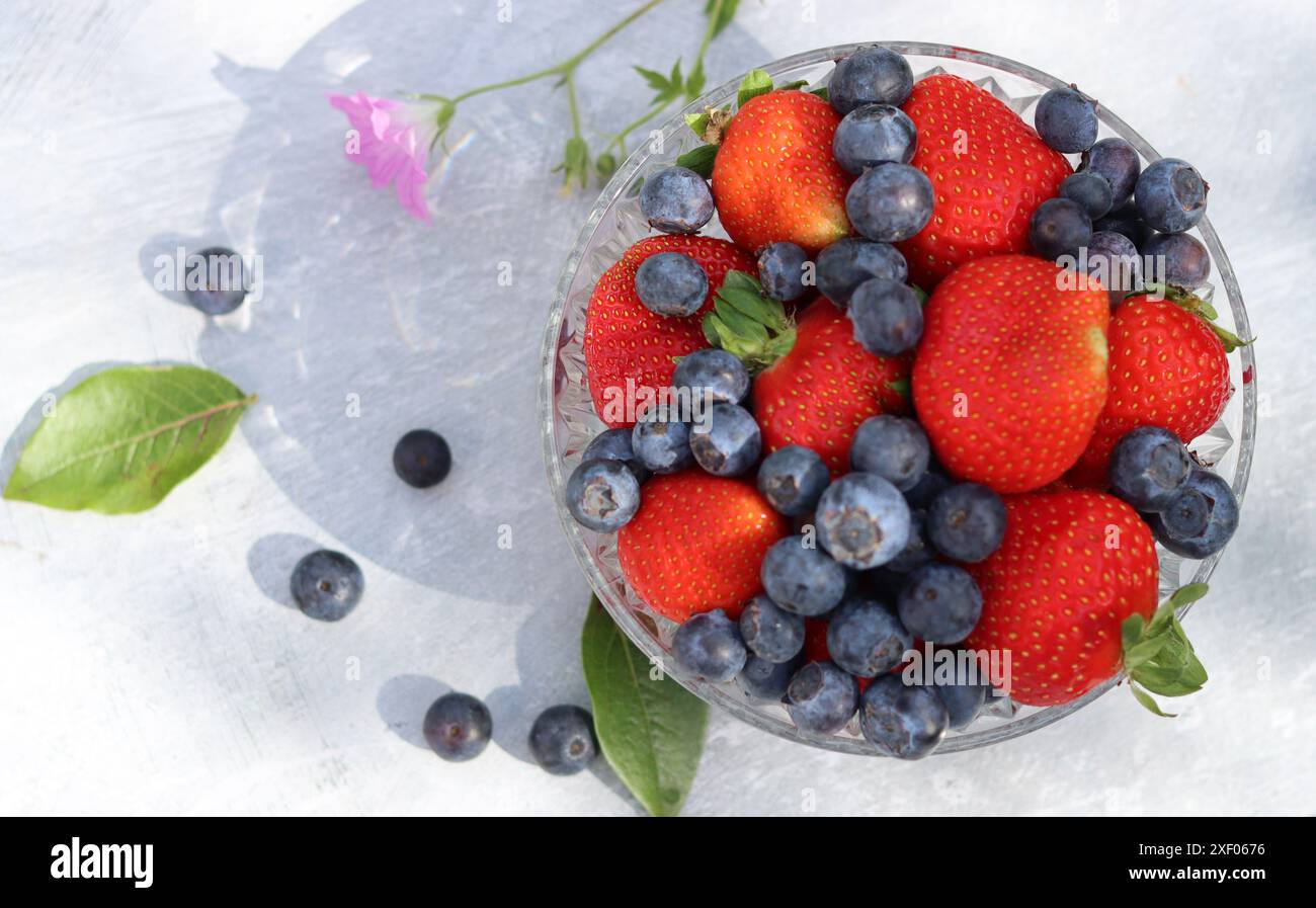 Erdbeeren und Heidelbeeren in einer Glasschale auf grauem Hintergrund mit Platz für Text. Fresh-Konzept. Stockfoto