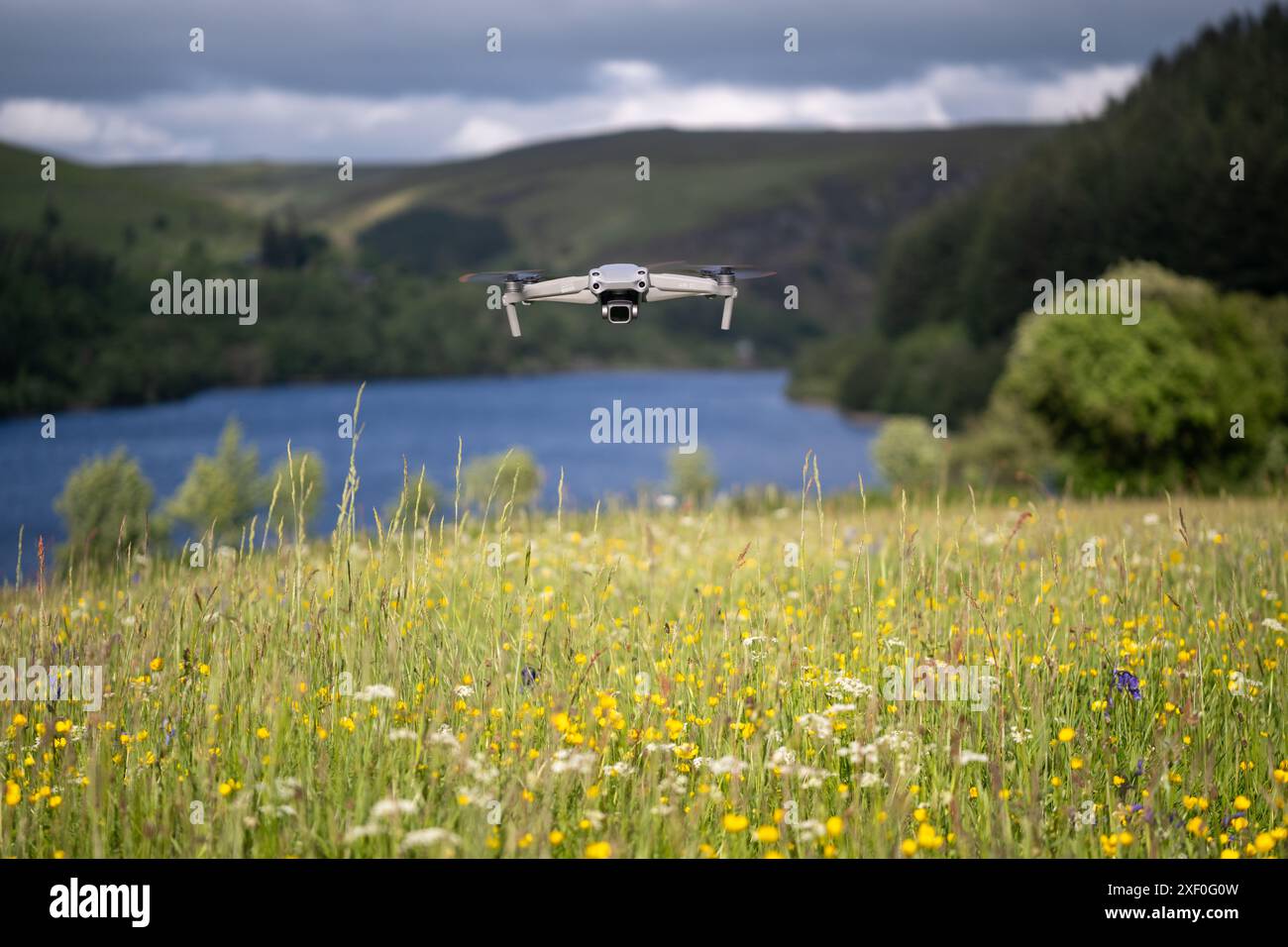 Drohne schwebt im Frühsommer über Wildblumenwiesen im Elan Valley, Powys, Großbritannien. Stockfoto