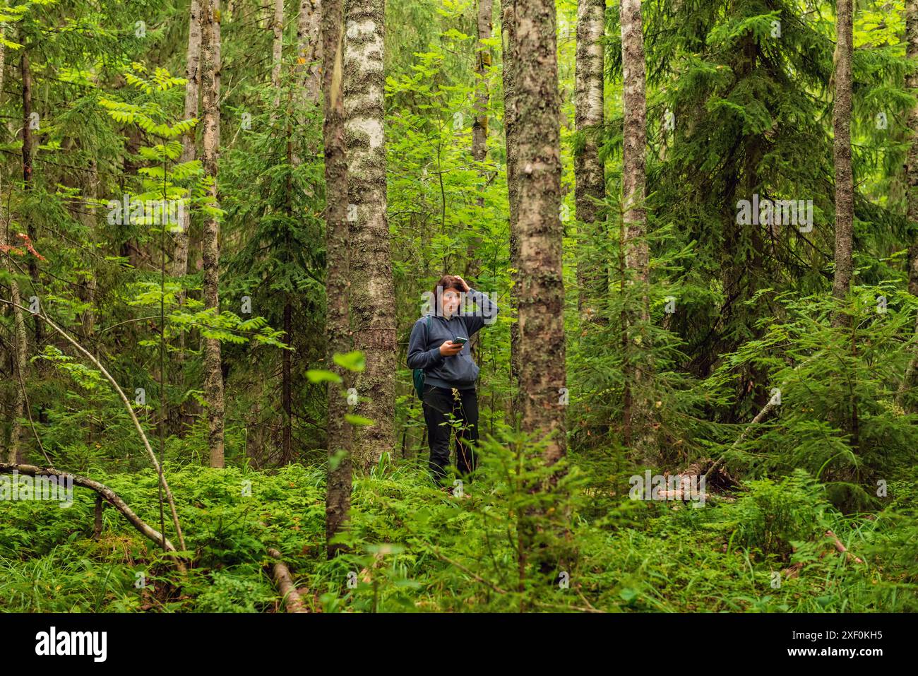 Eine Frau versucht, im Wald zu navigieren Stockfoto
