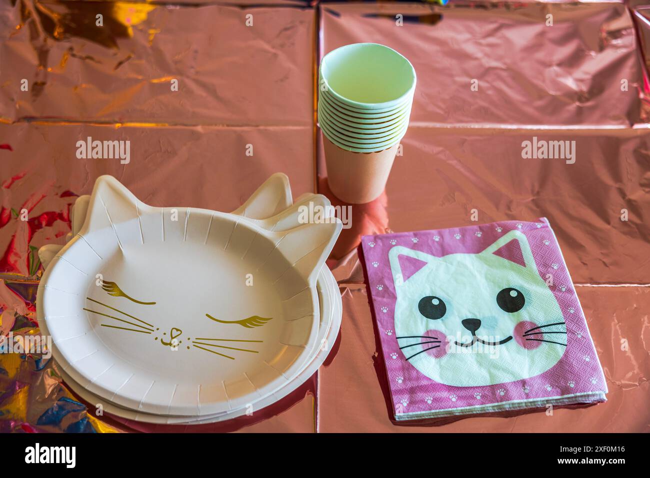 Nahaufnahme von Papierservietten, Tassen und Einwegtellern auf farbenfrohem Tisch mit Katzenmotiv für Kindergeburtstag. Stockfoto