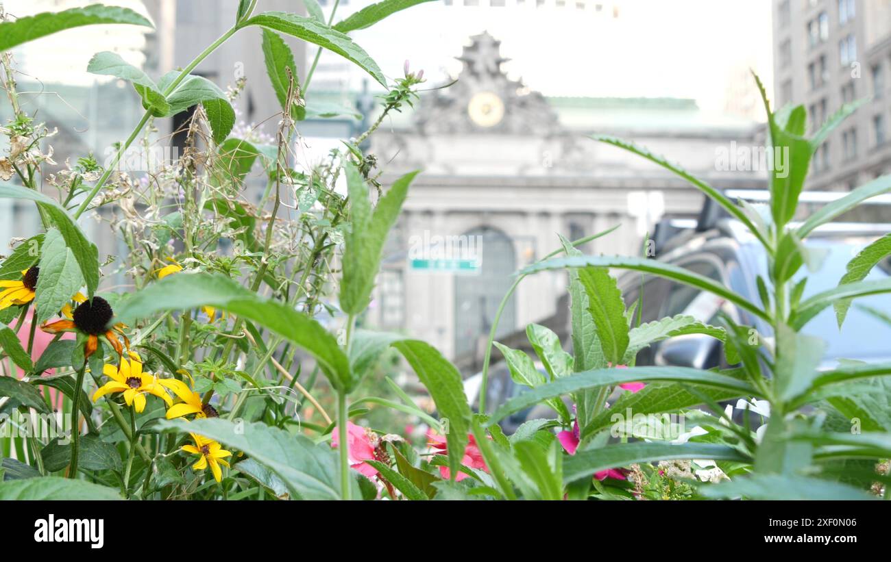 New York City Grand Central Terminal Bahnhofsgebäude an der 42 Street. Manhattan Midtown, Pershing Square, NYC, USA. Amerikanische Stadt-Szene, USA. Sommer- oder Frühlingsblumen auf Blumenbeeten. Stockfoto