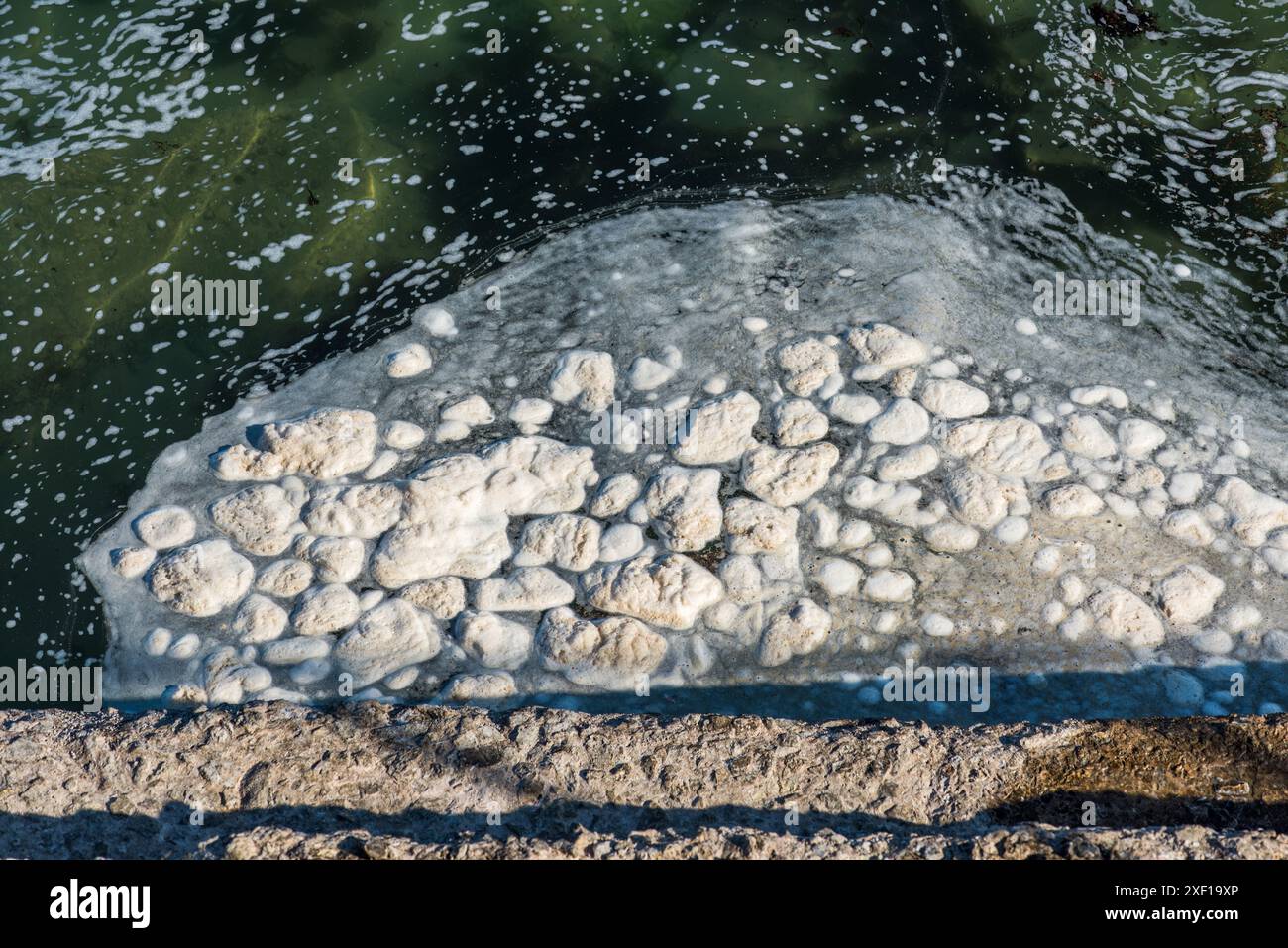 Eine Nahaufnahme von weißen Schaumblasen, die sich in der Nähe der Küste eines Wasserkörpers bilden Stockfoto