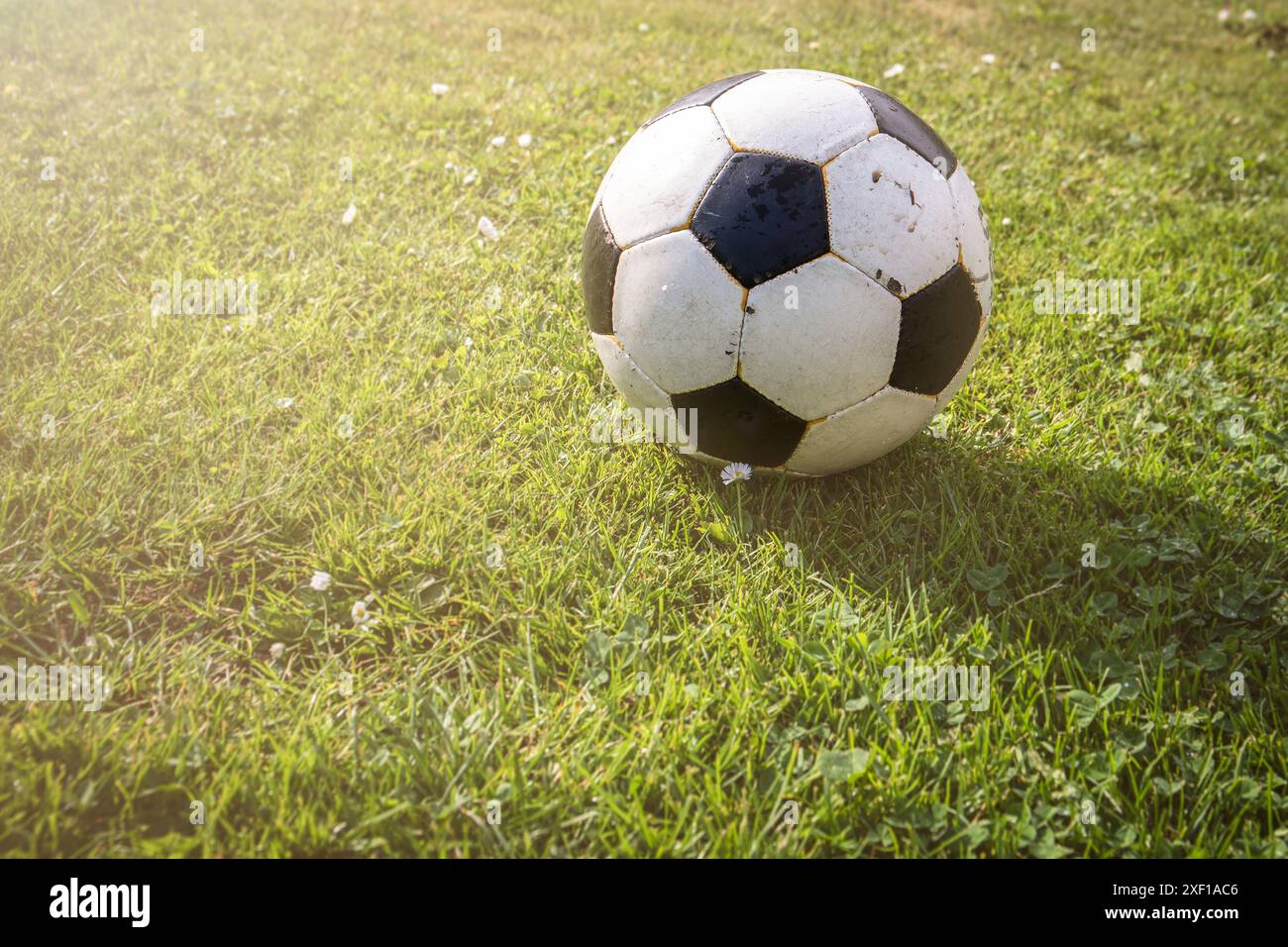 Fußball im Gras, Sonnenlicht aus der Ecke. Stockfoto