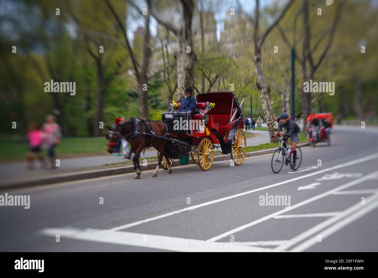 Eine malerische Kutschfahrt mit einem Pferd im Central Park, Manhattan, New York City Stockfoto