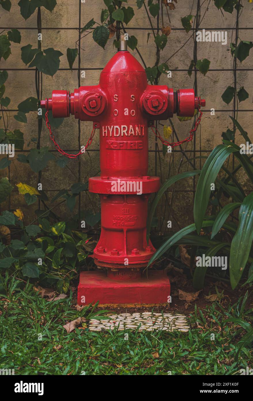 Jakarta, Indonesien - 10. Mai 2024. Nahaufnahme eines klassischen roten Hydranten, der auf einem grünen Grasfeld vor einem verwitterten Korb positioniert ist Stockfoto