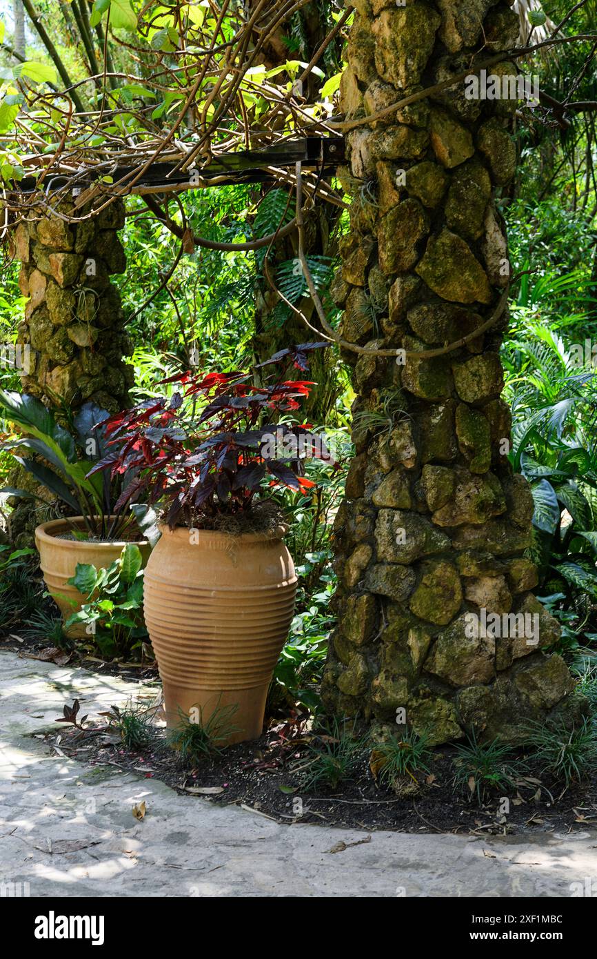 Terra Cotta Topf mit roten Pflanzen Stockfoto