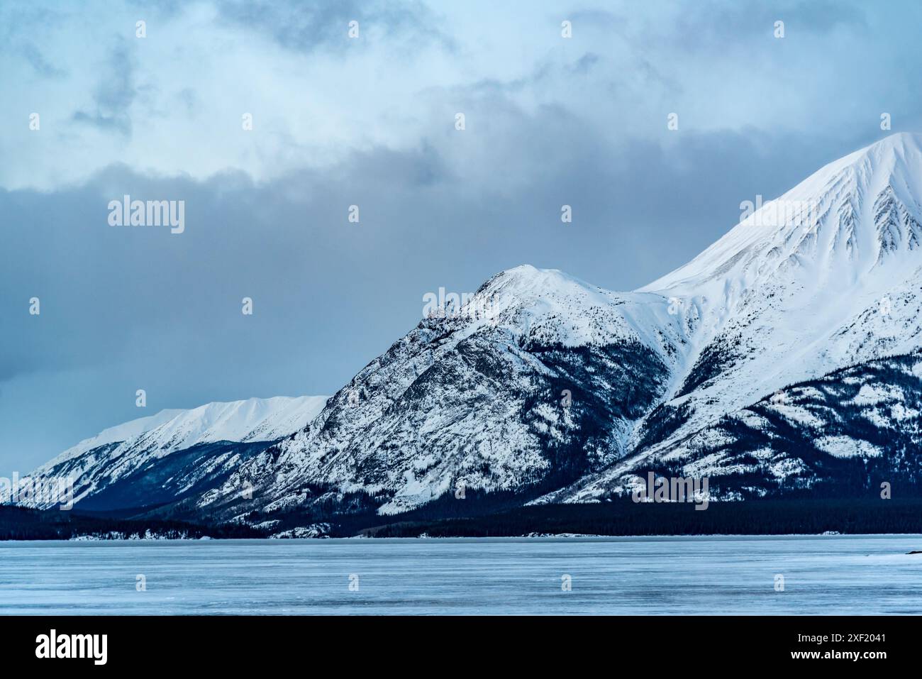 Unglaubliche schneebedeckte Berge im Winter mit einem gefrorenen See im Vordergrund. Aufgenommen in Atlin, British Columbia in der Nähe von Alaska, Yukon Territory. Stockfoto