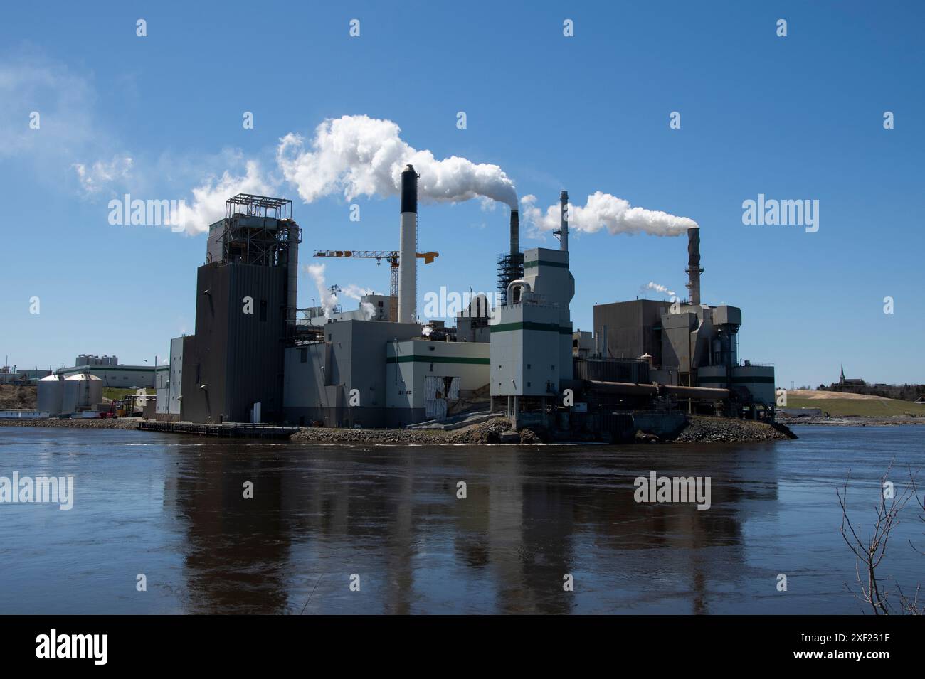 Irving Zellstoff- und Papierfabrik an den Reversing Falls in Saint John, New Brunswick, Kanada Stockfoto