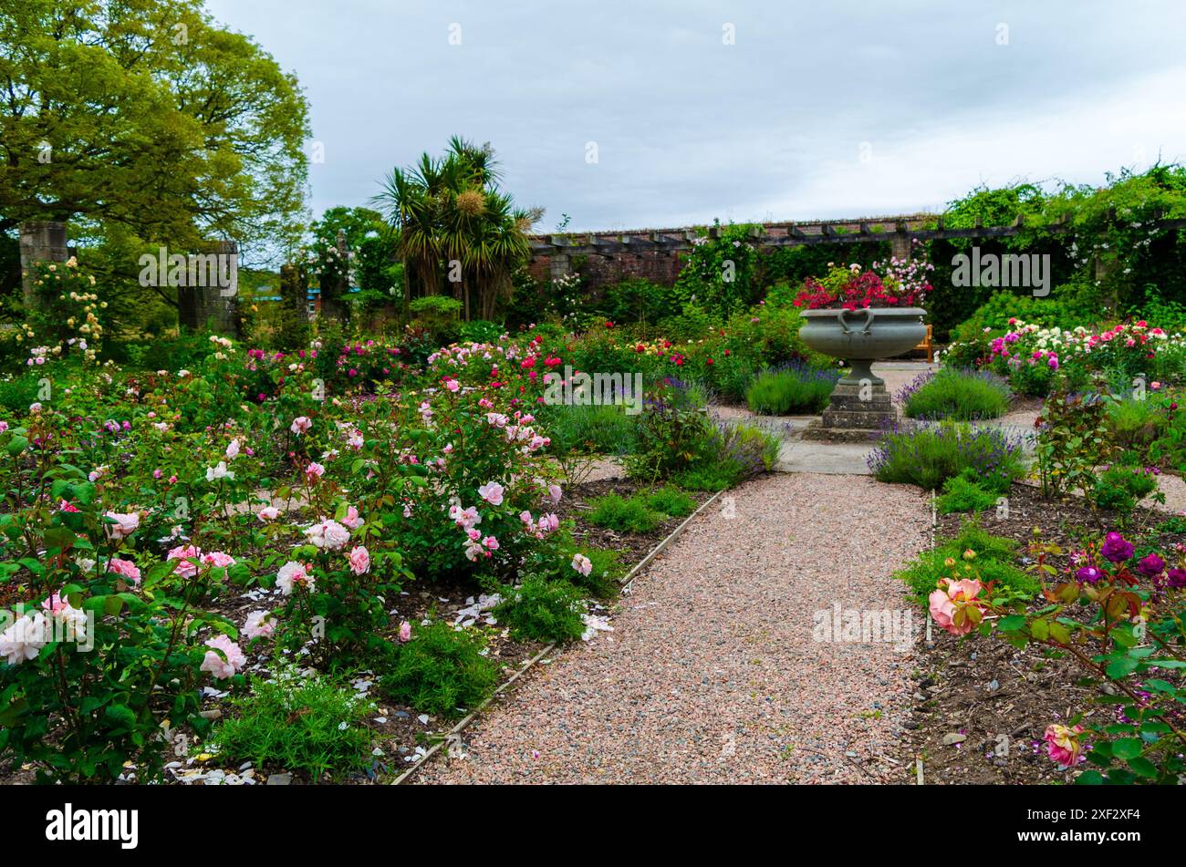 Newtownards County Down Nordirland 25. Juni 2024: Der Rosengarten und die Molkerei auf dem Landsitz Mount Stewart in der Nähe von Strangford lough County Down Stockfoto