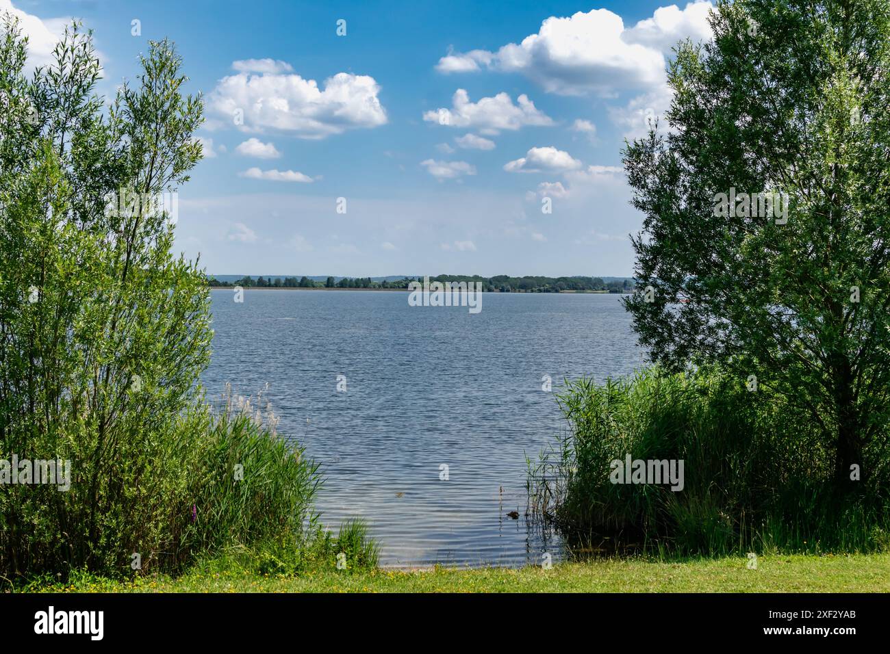 Madine See in Maas in Lothringen in der Region Grand Est, zahlreiche Aktivitäten, Camping, Tierwelt, Wanderroute, Natura 2000 Stockfoto