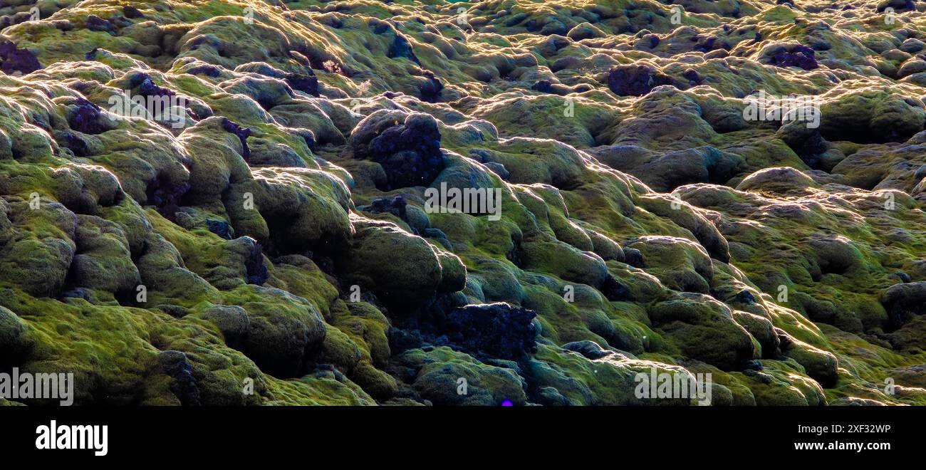 Eine felsige Gegend mit grünem Moos und Felsen. Das Moos bildet eine seltsam wellige Oberfläche Stockfoto