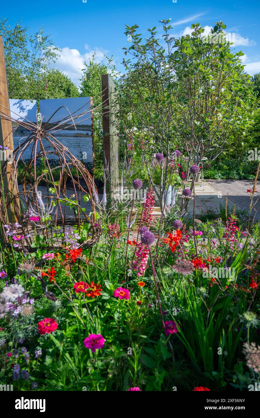 Richmond upon Thames, London, Großbritannien. Das RHS Hampton Court Palace Garden Festival, die größte Blumenausstellung der Welt, wird am 2-7. Juli 2024 eröffnet. Gärten sehen am besten unter dem blauen Himmel am frühen Morgen aus. Der von Arit Anderson entworfene RHS Torffreier Garten mit naturalistischer Pflanzung ahmt einen unberührten Moor nach, bevor er in einen erkennbaren Hausgarten übergeht, komplett mit schattigen und sonnenliebenden Rändern und Beeten. Alle verwendeten Materialien werden recycelt, einschließlich eines großen Gewächshauses im Herzen, das aus aufgetakteten Fenstern, geliehenem Pflaster, alten Bahnschwellen und sogar einem stillgelegten Bienenstock besteht Stockfoto