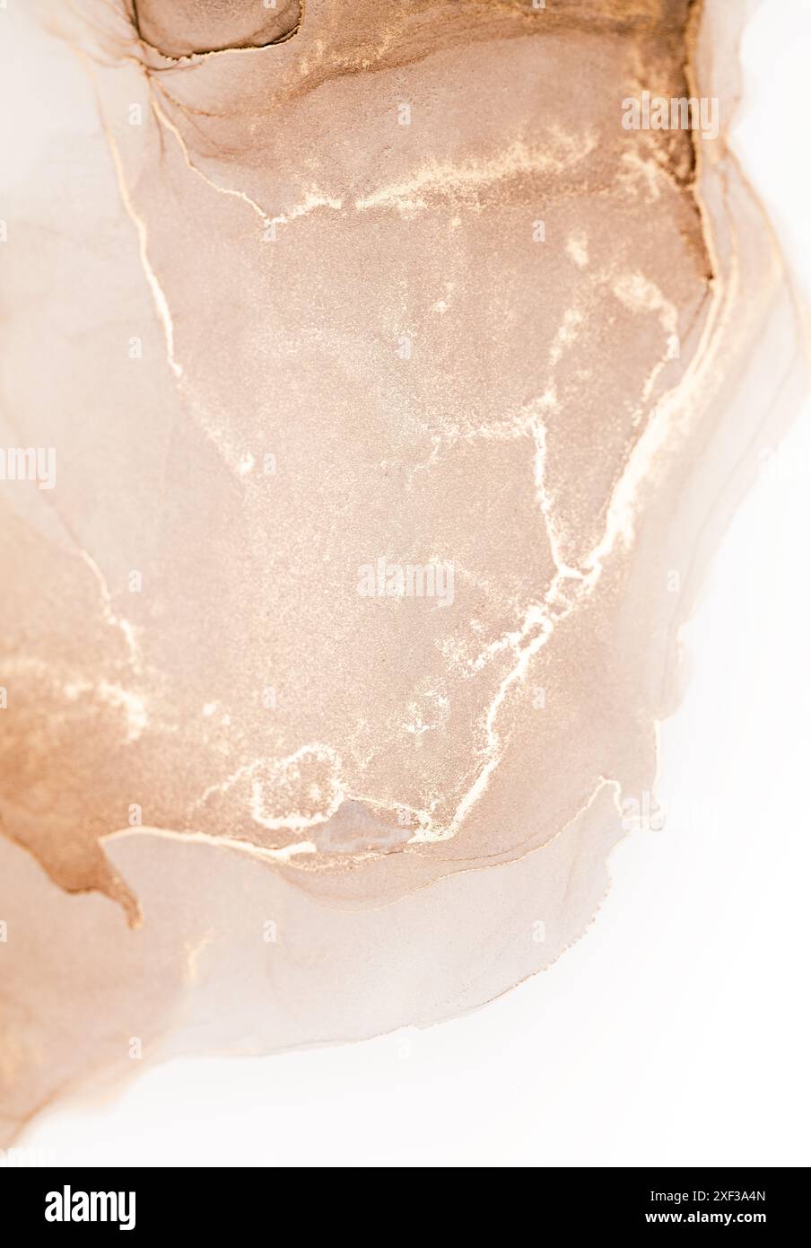 Ein Nahaufnahme-Bild mit zarten, weißen Adern, die sich zart über einen hellroten Hintergrund schlängeln und an eine weiche und subtile Marmorstruktur erinnern Stockfoto