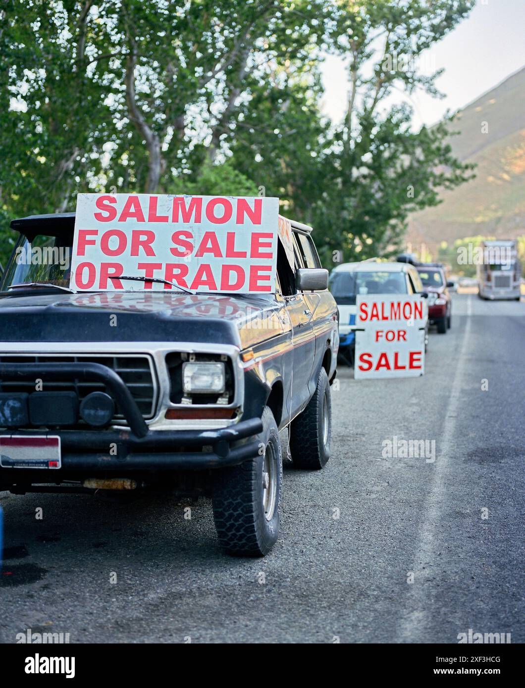 Autos parkten am Straßenrand mit Schildern für den Lachshandel Stockfoto