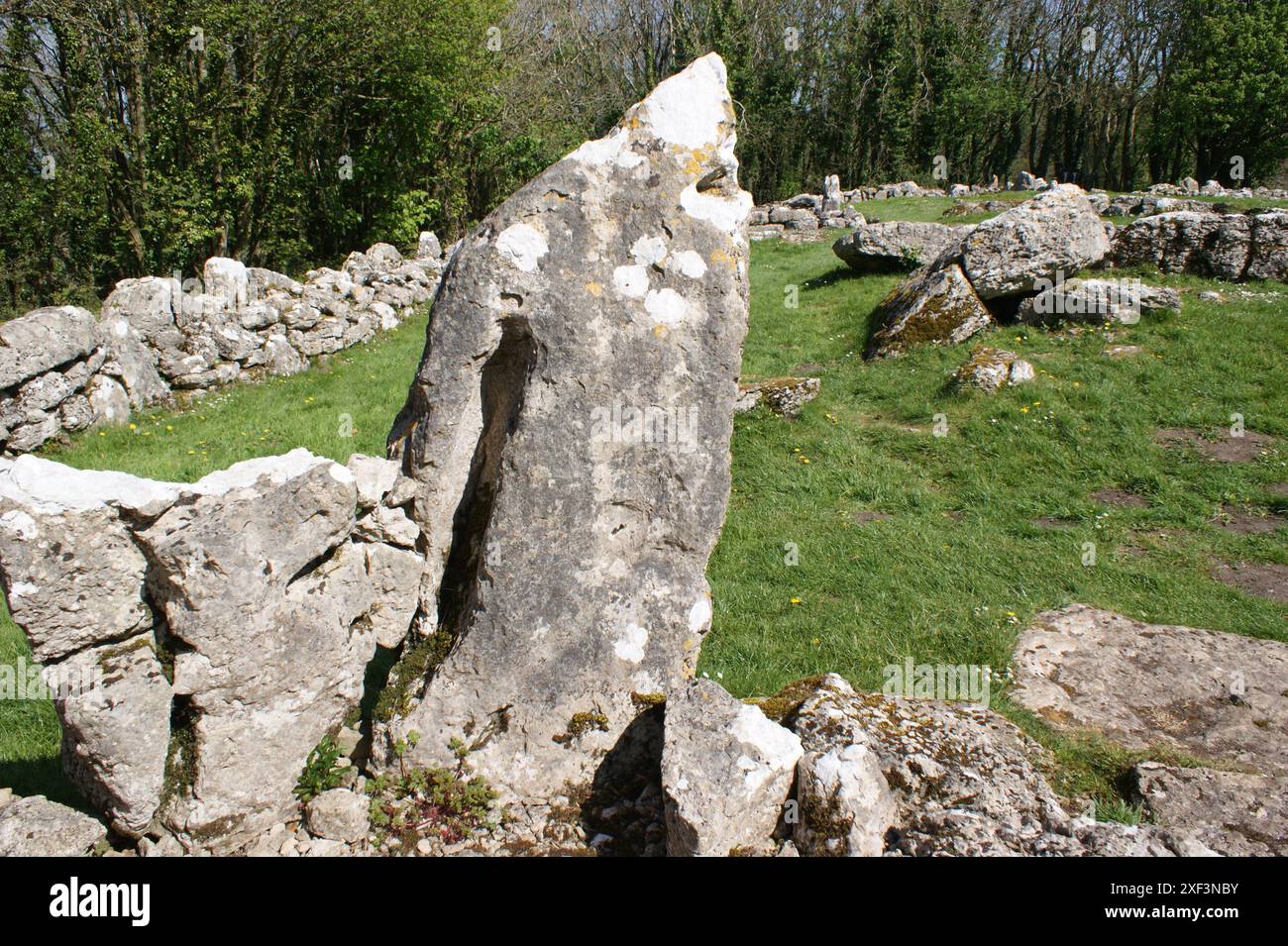 DIN Lligwy die Überreste eisenalter Hütten nahe der Küste von Anglesey bei Moelfre, Nordwales Stockfoto