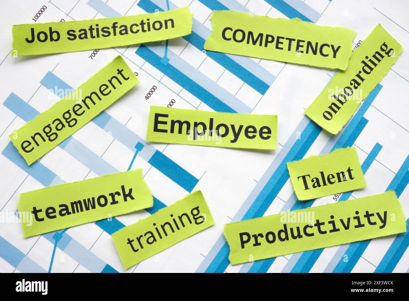 HR-Diagramme mit Wörtern zum Mitarbeiter. Stockfoto