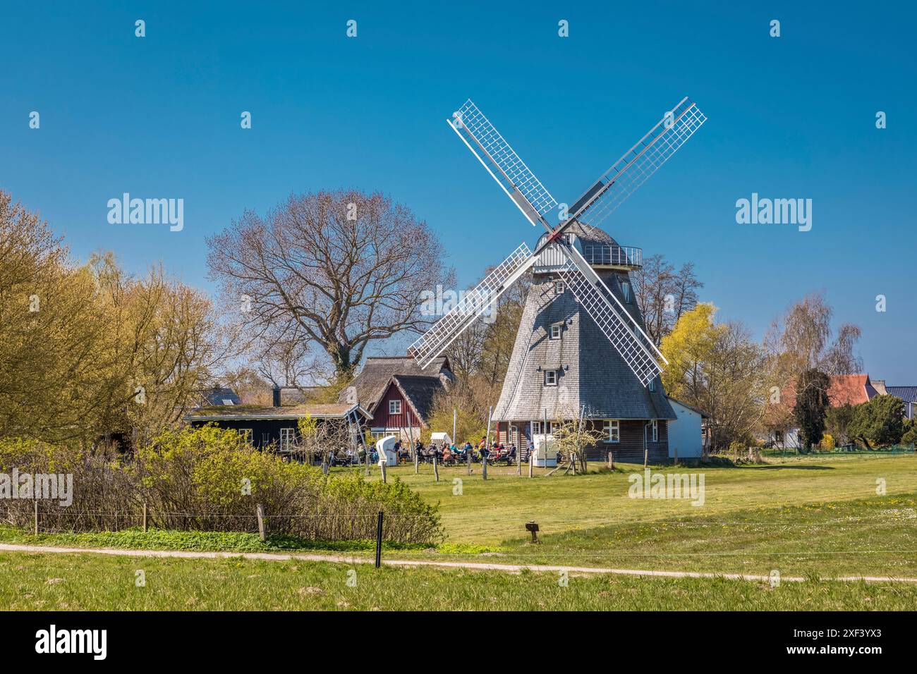 Geografie / Reise, Deutschland, Mecklenburg-Vorpommern, Windmühle Ahrenshoop, ADDITIONAL-RIGHTS-CLEARANCE-INFO-NOT-AVAILABLE Stockfoto