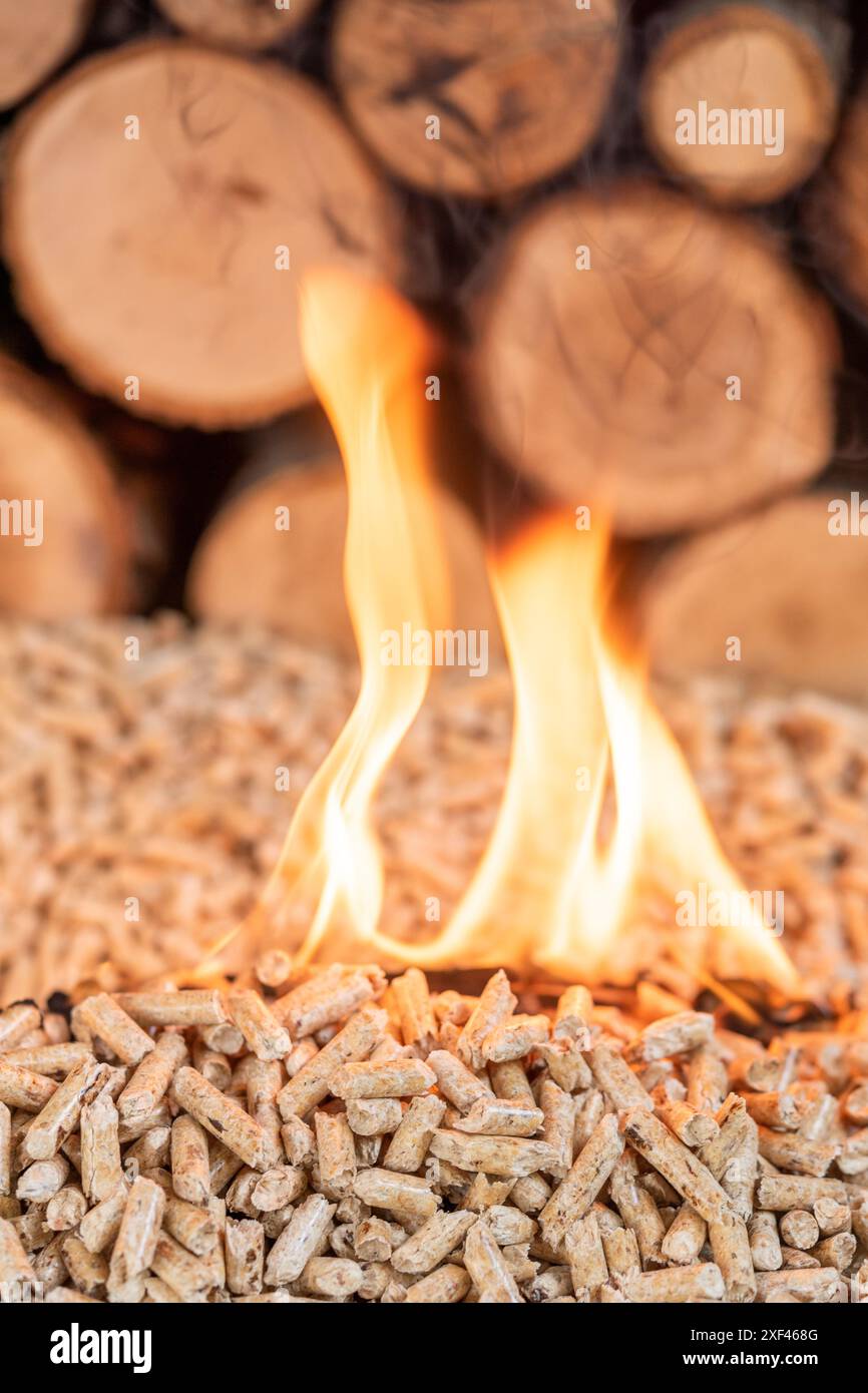 Ein Haufen Holzpellets in Flammen. Hinter der Unschärfe ist eine Wand aus Holz. Stockfoto