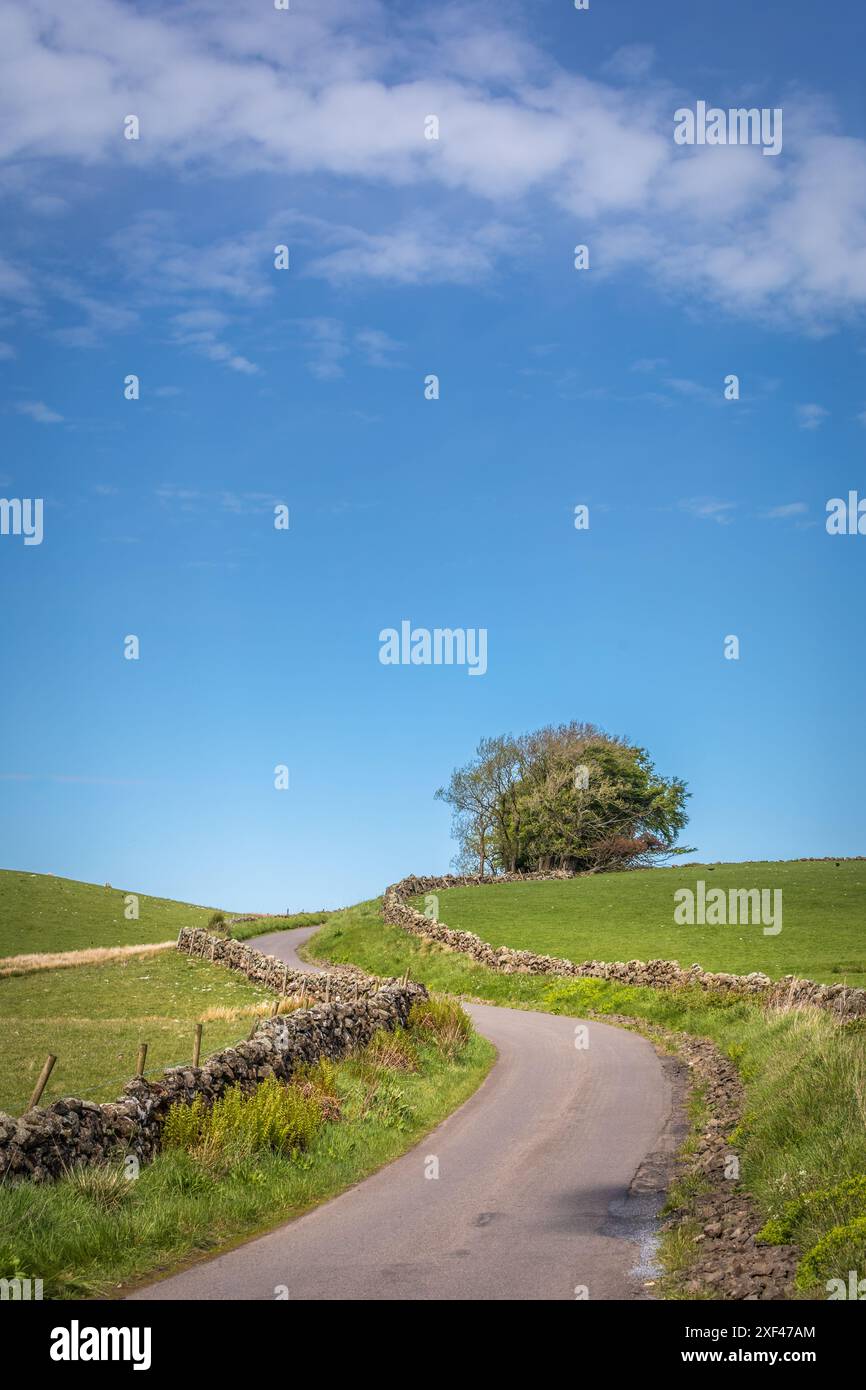 Geografie / Reise, Großbritannien, Schottland, Straße durch Weiden und Moorgebiete südlich von Stirling, ADDITIONAL-RIGHTS-CLEARANCE-INFO-NOT-AVAILABLE Stockfoto