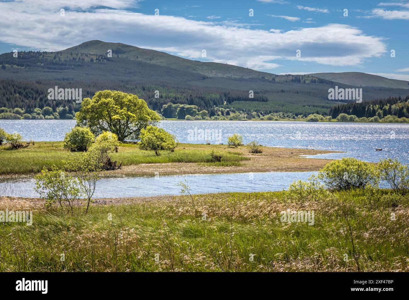 Geografie / Reise, Großbritannien, Schottland, Carron Valley Reservoir bei Denny, ADDITIONAL-RIGHTS-CLEARANCE-INFO-NOT-AVAILABLE Stockfoto