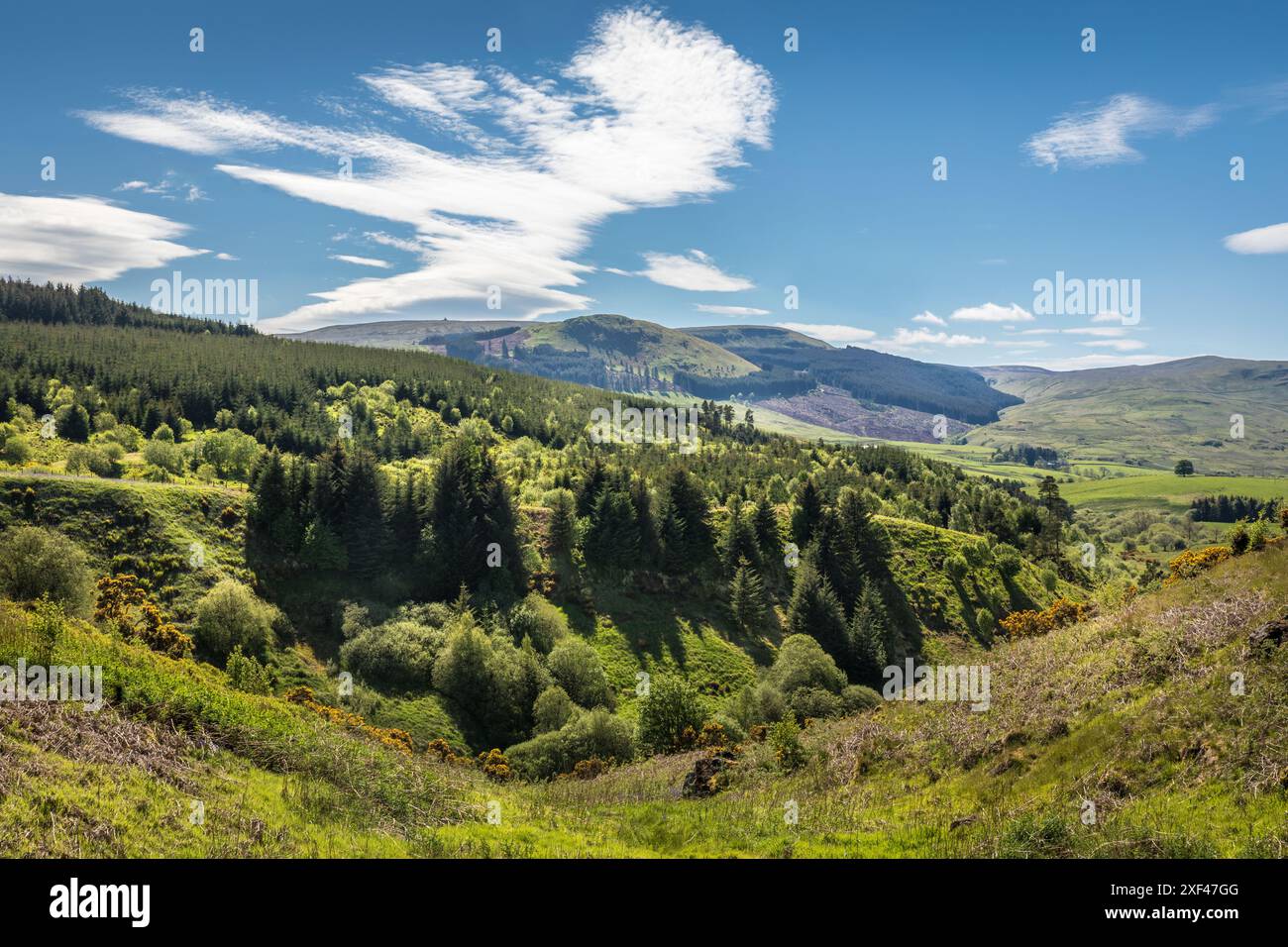 Geografie / Reise, Großbritannien, Schottland, Fintry Hills in der Nähe von Fintry Village, ADDITIONAL-RIGHTS-CLEARANCE-INFO-NOT-AVAILABLE Stockfoto