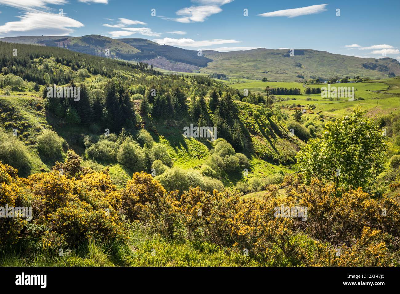 Geografie / Reise, Großbritannien, Schottland, Fintry Hills in der Nähe von Fintry Village, ADDITIONAL-RIGHTS-CLEARANCE-INFO-NOT-AVAILABLE Stockfoto
