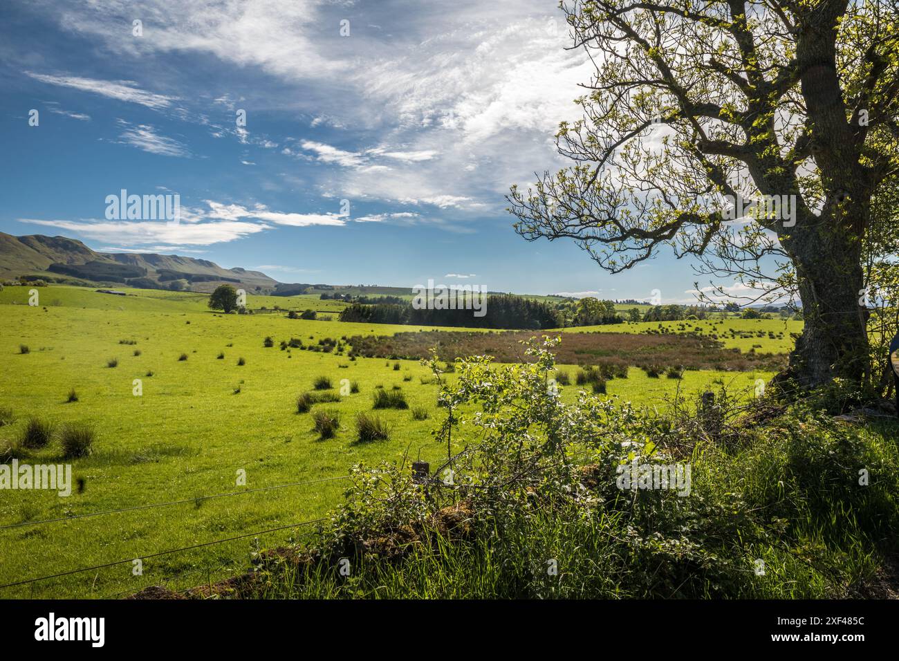 Geografie / Reisen, Großbritannien, Schottland, Green Almen und Fintry Hills in der Nähe von Fintry Village, ADDITIONAL-RIGHTS-CLEARANCE-INFO-NOT-AVAILABLE Stockfoto