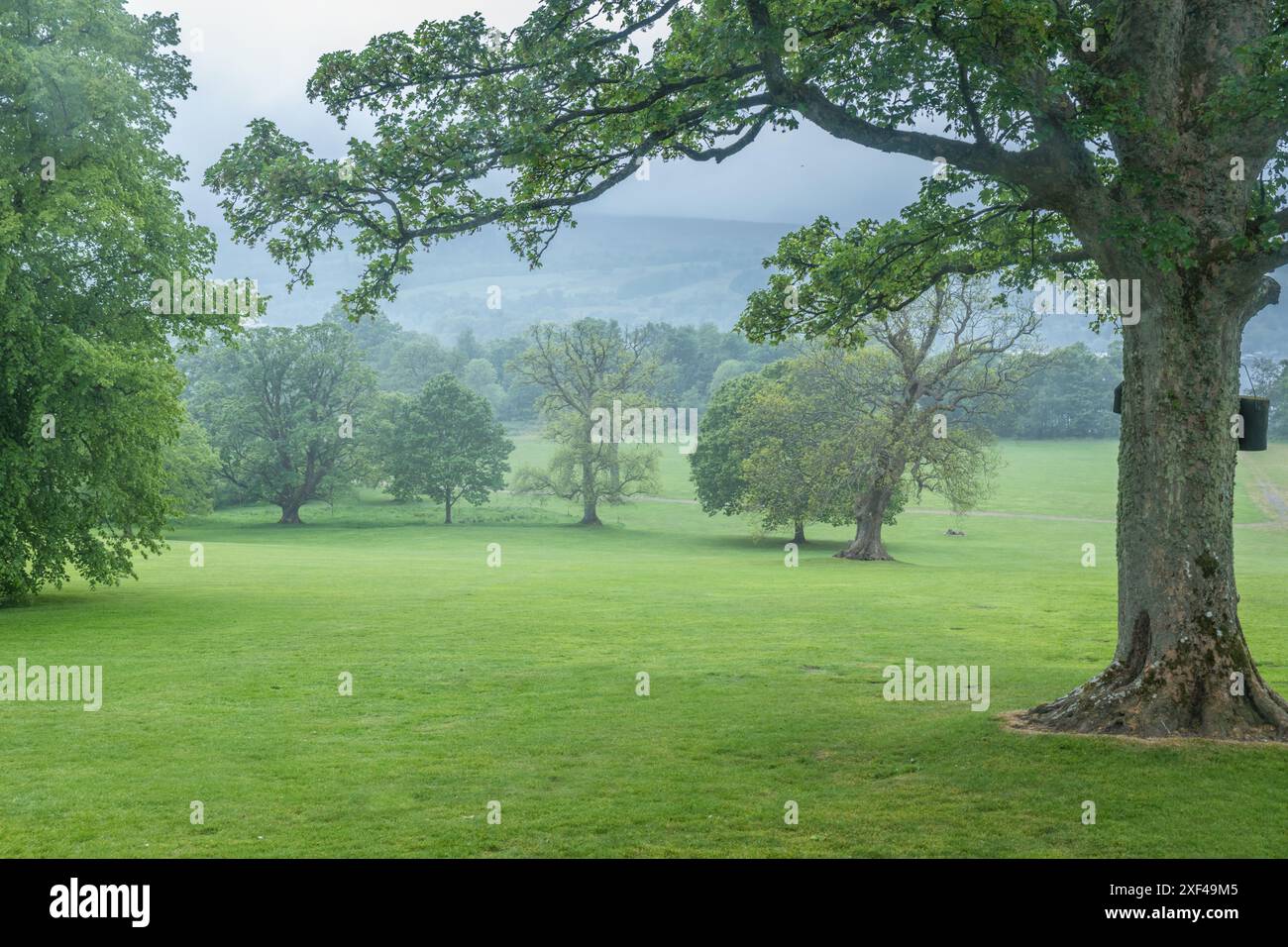 Geografie / Reise, Großbritannien, Schottland, Balloch Castle Country Park, ADDITIONAL-RIGHTS-CLEARANCE-INFO-NOT-AVAILABLE Stockfoto