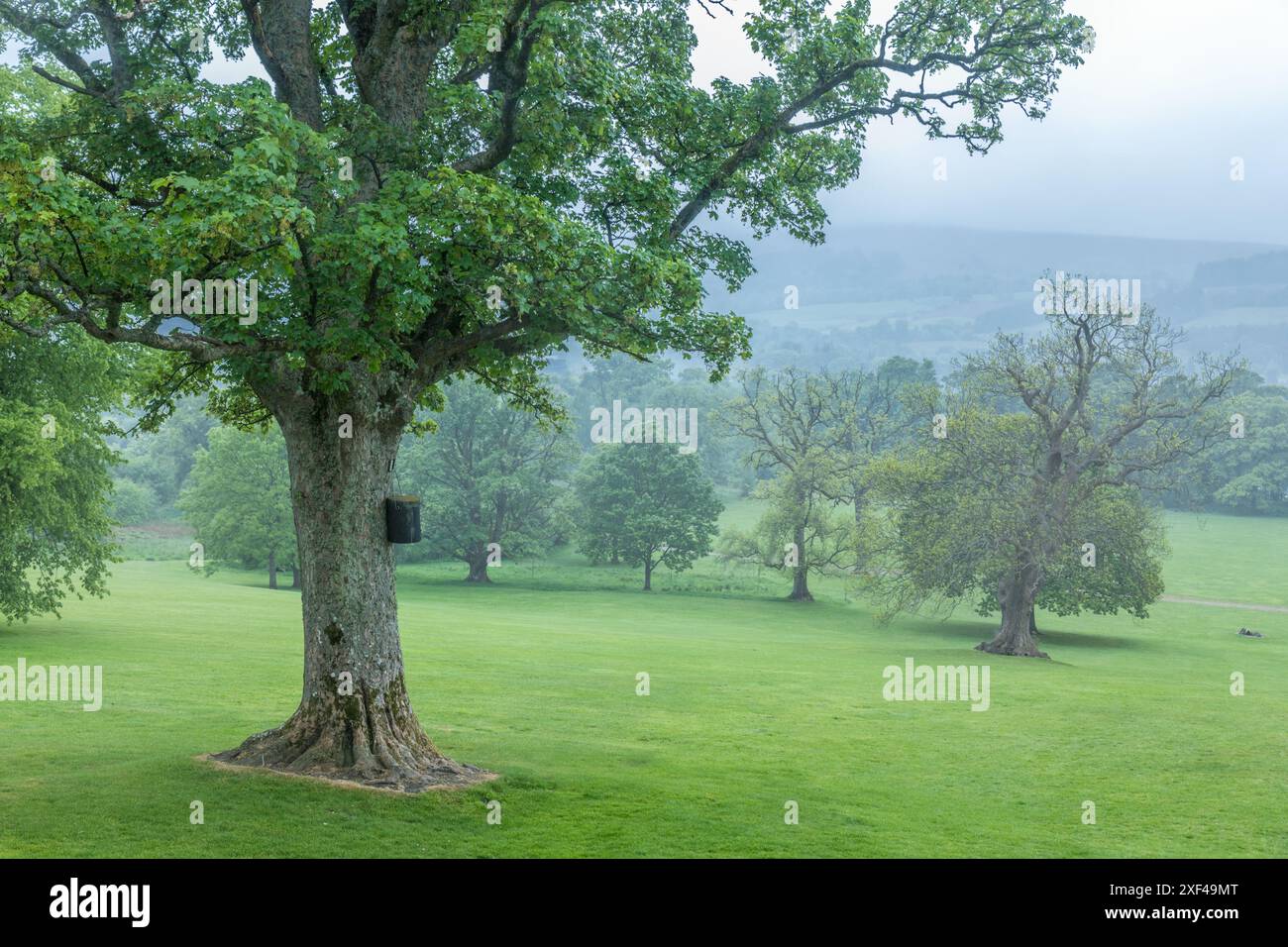 Geografie / Reise, Großbritannien, Schottland, Balloch Castle Country Park, ADDITIONAL-RIGHTS-CLEARANCE-INFO-NOT-AVAILABLE Stockfoto
