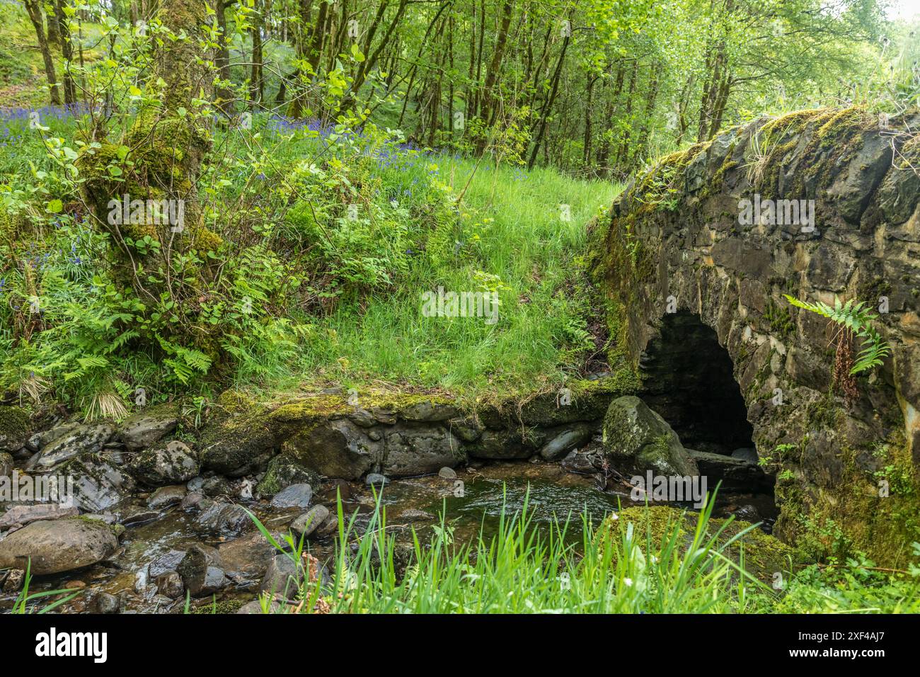 Geografie / Reise, Großbritannien, Schottland, ADDITIONAL-RIGHTS-CLEARANCE-INFO-NOT-AVAILABLE Stockfoto
