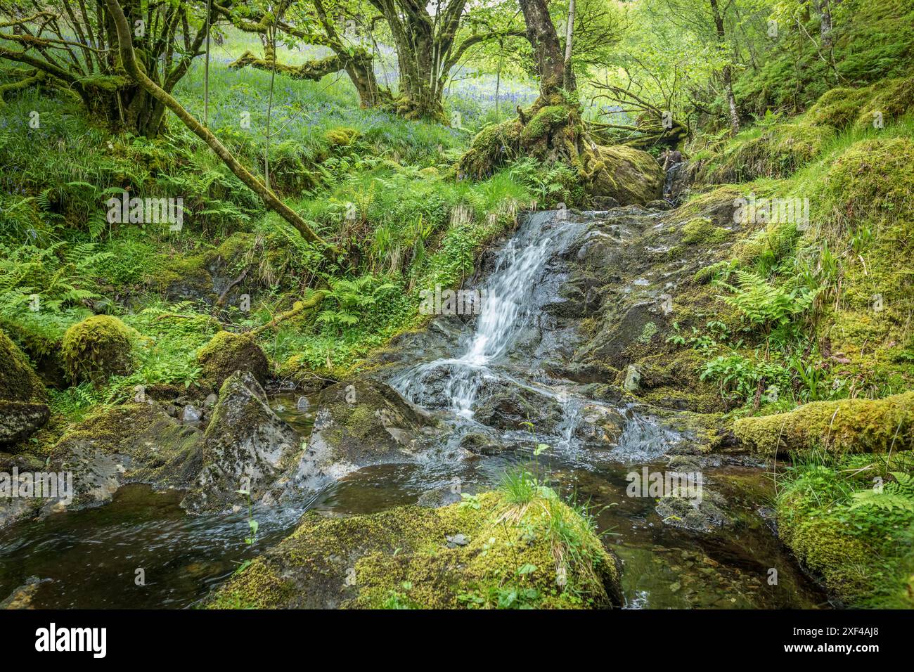 Geografie / Reise, Großbritannien, Schottland, ADDITIONAL-RIGHTS-CLEARANCE-INFO-NOT-AVAILABLE Stockfoto