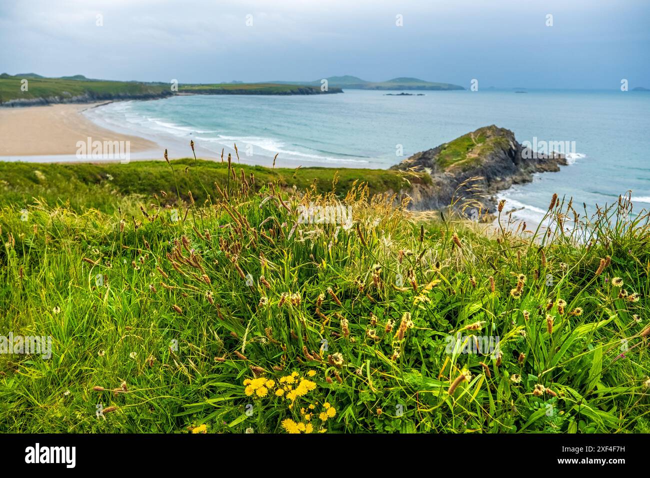 Whitesands Beach im Pembrokeshire Coast National Park Stockfoto