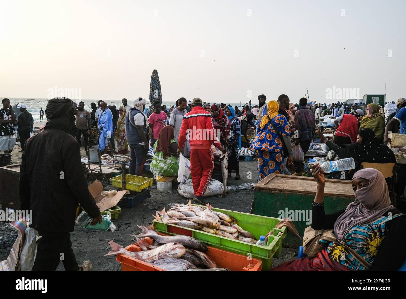 Nicolas Remene/Le Pictorium - Fischmarkt in Nouakchott, Mauretanien. Juni 2024. Mauretanien/Nouakchott/Nouakchott - der Nouakchott Fischmarkt mit Strand und Piroggen am 28. Juni 2024. Es gilt als Nouakchotts wichtigster Markt für frischen Fisch. Schätzungen zufolge treffen sich dort täglich zwischen 10.000 und 20.000 Menschen zum Handel mit Fisch. Als solche spielt sie eine sehr wichtige sozioökonomische Rolle für die Entwicklung und das Leben der Einwohner der Hauptstadt. Quelle: LE PICTORIUM/Alamy Live News Stockfoto