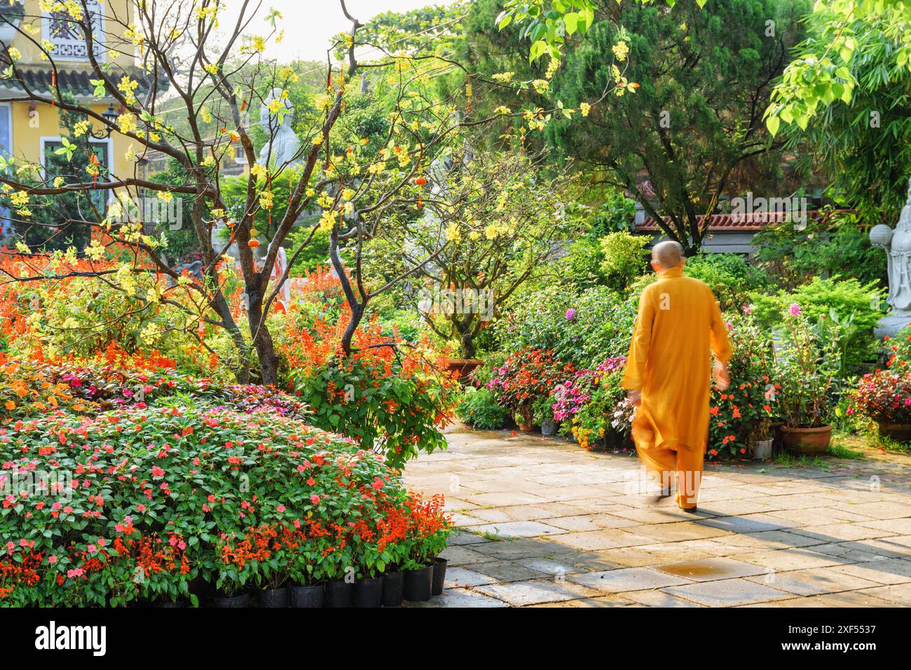 Unbekannter buddhistischer Mönch spaziert entlang des malerischen Gartens des Phap Bao Tempels in Hoi an Ancient Town (Hoian), Vietnam. Stockfoto